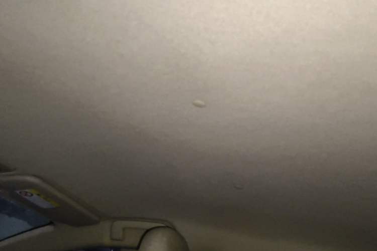 Used Toyota Vios 2014 1.5L Automatic ZhiZhen Edition Headliner