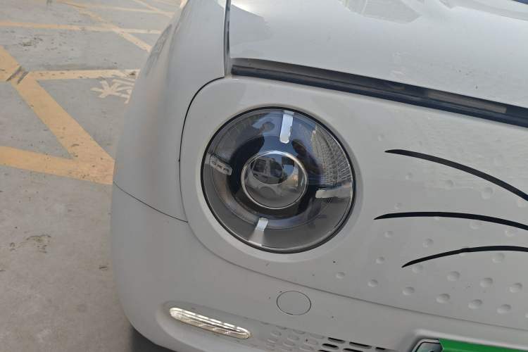 Used ORA Black Cat 2022 351 km Standard Version Ternary Lithium
