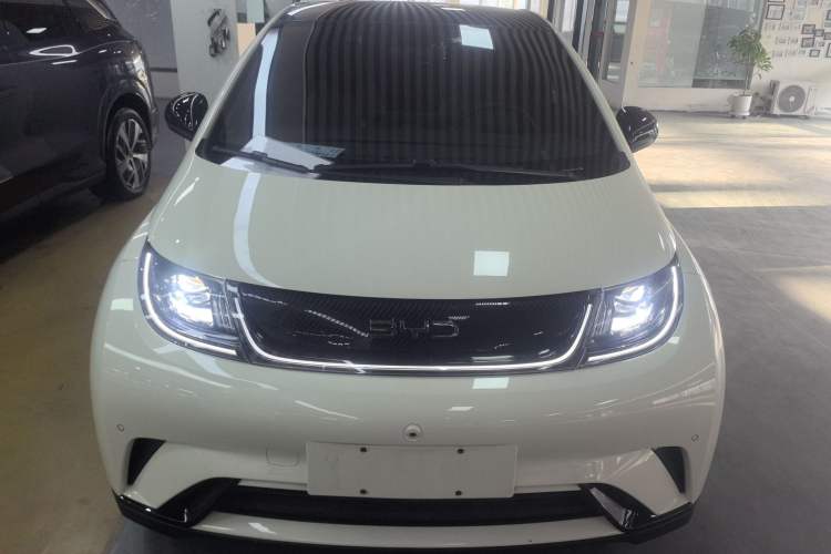 Used BYD Dolphin 2024 Honor Edition 420km Fashion Version
