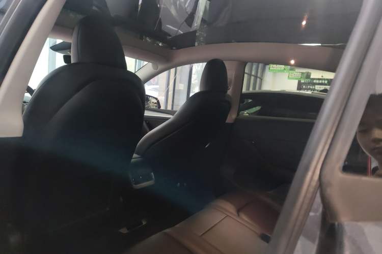 Used Tesla Model Y 2024 Rear-Wheel-Drive Version Headliner