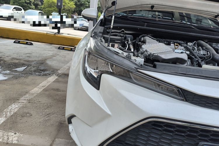 Used Toyota Levin 2019 185T CVT Luxury Edition China VI Standard
