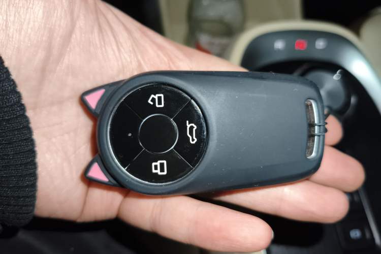 Used ORA Good Cat 2021 400km Standard Range Athena Edition Lithium Iron Phosphate