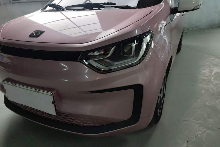 Used SOL E10X 2022 Flower Fairy Design Four-Leaf Clover Left Front Headlight