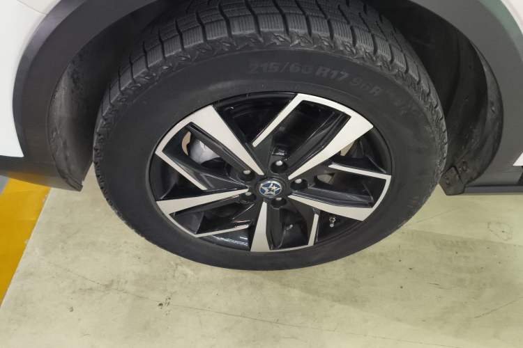 Used Venucia T60EV 2020 AI Flagship Model
