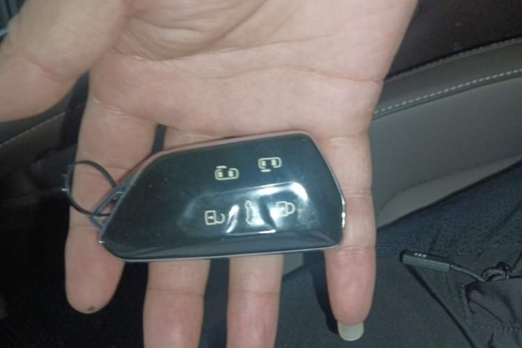 Used Volkswagen Viloran 2024 330TSI Luxury Edition