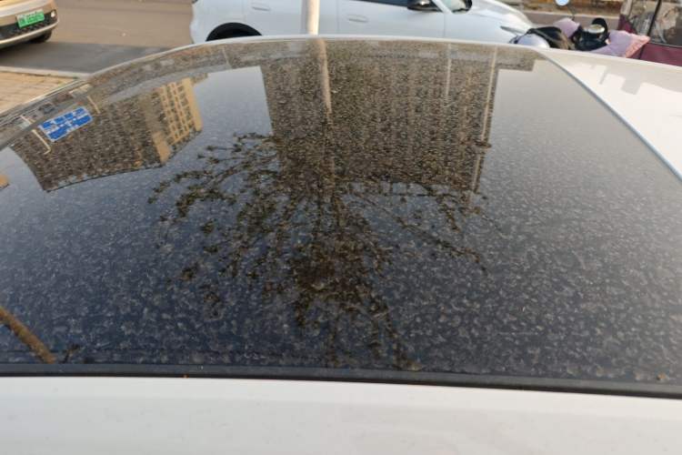 Used Volkswagen Polo 2021 Plus 1.5L Automatic Panoramic Enjoyment Edition Roof