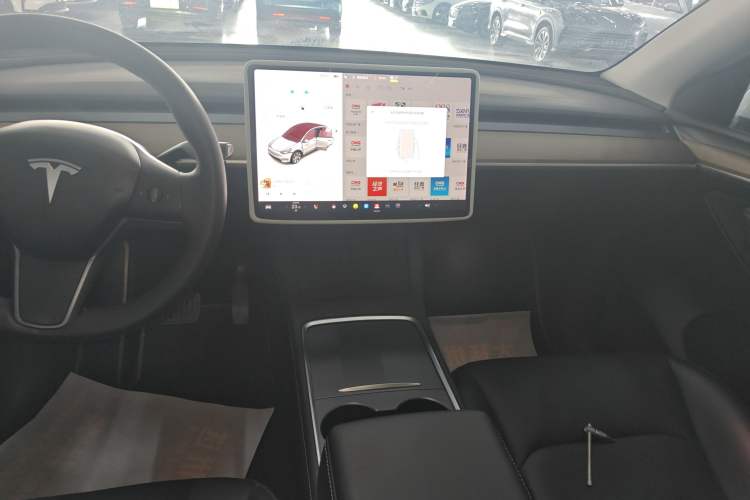 Used Tesla Model Y 2021 Standard Range Rear-Wheel Drive Version
