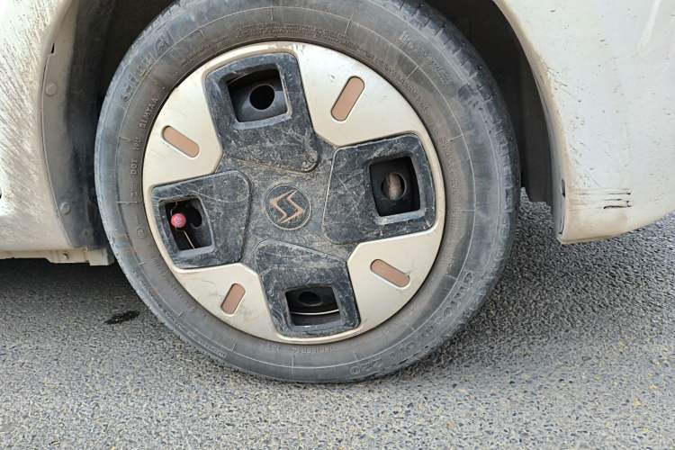 Used SOL E10X 2022 Flower Fairy Design Four-Leaf Clover