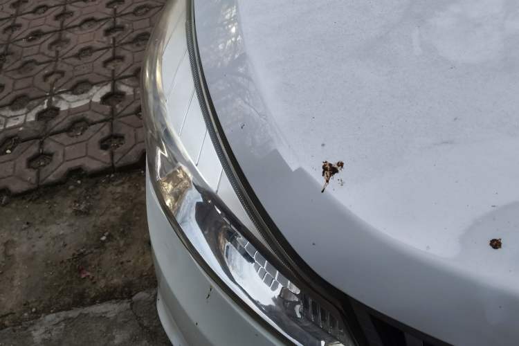 Used Karry K50 2017 1.5L Manual Base Version
