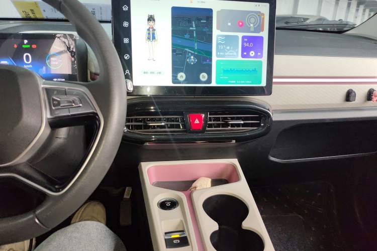 Used SOL E10X 2022 Flower Fairy Design Four-Leaf Clover Audio And AC Panel