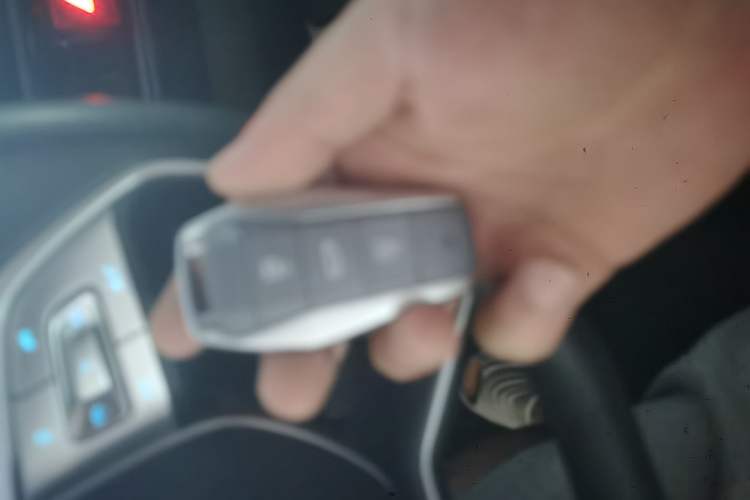 Used SOL E10X 2022 Flower Fairy Design Four-Leaf Clover