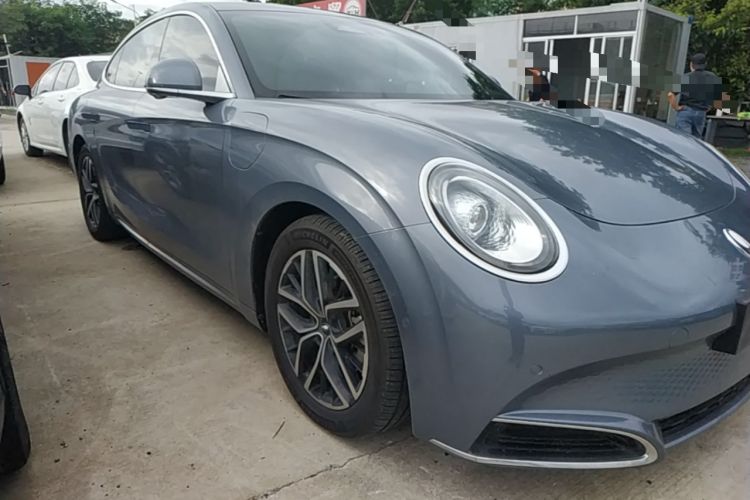 Used ORA Lightning Cat 2022 555 km Luxury Edition