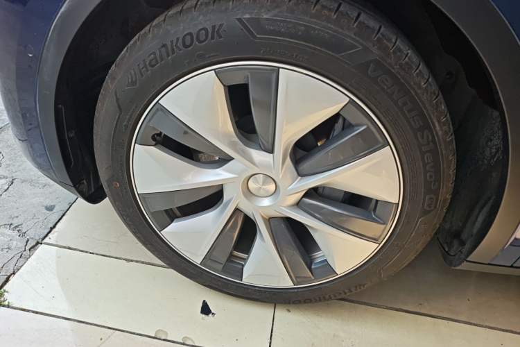 Used Tesla Model Y 2021 Standard Range Rear-Wheel Drive Version
