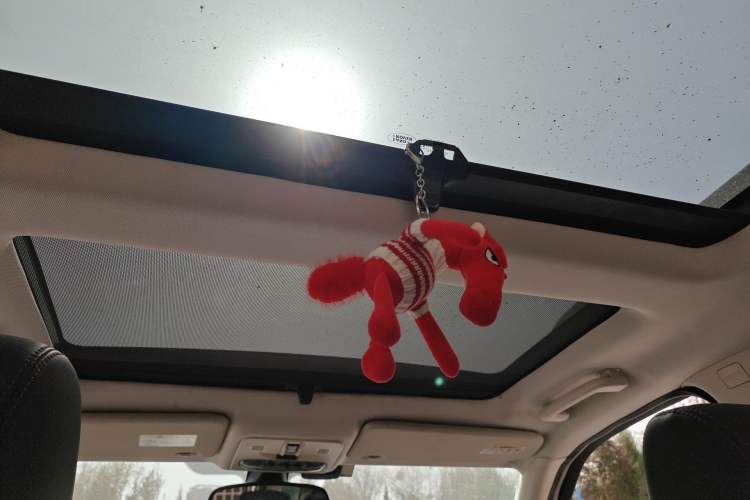 Used Land Rover Freelander 2 2010 3.2 i6 Automatic HSE Gasoline Version Headliner