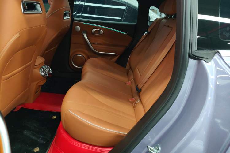 Used ORA Lightning Cat 2022 555 km Luxury Edition Left Rear Seat