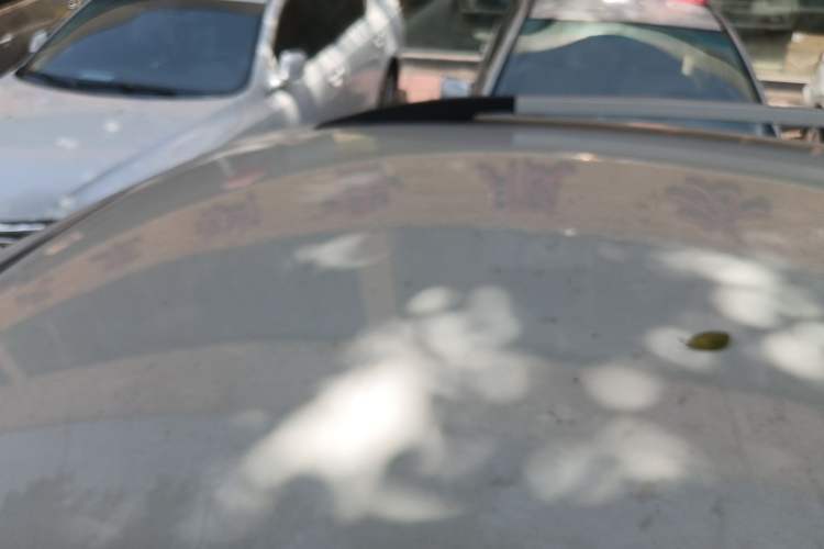 Used FORTHING Joyear X3 2015 1.5L Comfort Model
