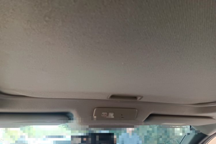 Used Nissan X-Trail 2012 2.5L CVT Luxury Edition 4WD Headliner