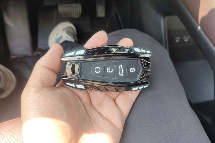 Used Geely Auto Monjaro L 2021 2.0TD DCT EVO Two-Wheel Drive Prestige Version