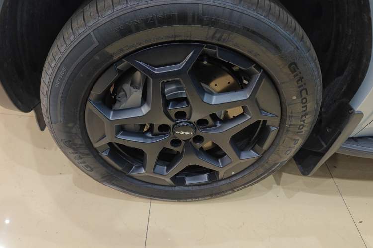 Used Formula Leopard Tai 7 2025 Model 190 km Four-Wheel Drive Ultra Edition
