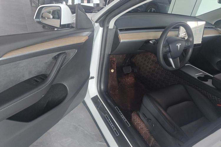 Used Tesla Model Y 2021 Standard Range Rear-Wheel Drive Version
