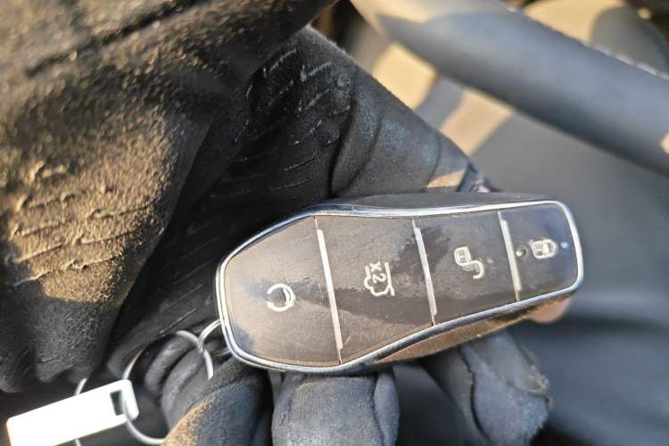 Used BYD Sealion 05 DM-i 2025 DM-i Smart Drive 115KM Flagship Model Interior 1