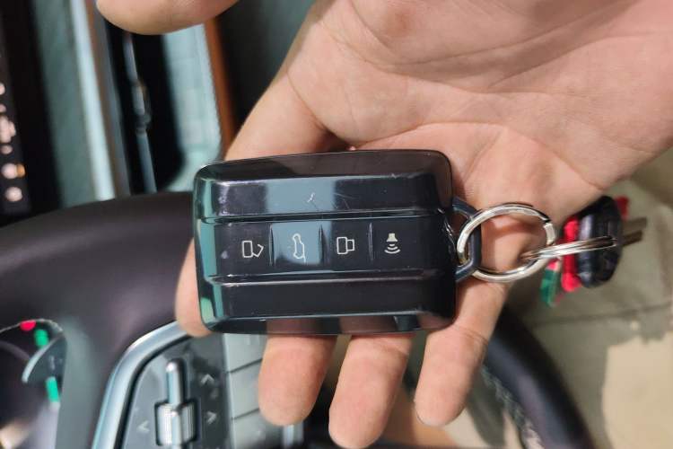 Used Tank 500 2023 3.0T Business Edition Realm-Setting 7-Seater Vehicle Key