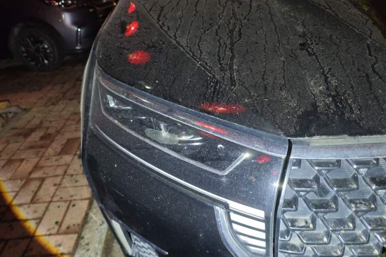 Used Venucia Star 2020 260T Automatic 48V Mild Hybrid Turbocharged Star Edition