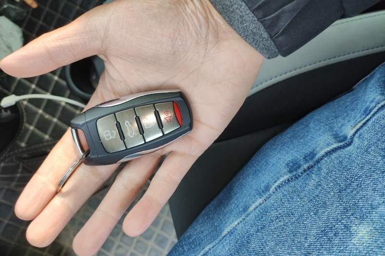 Used ORA Black Cat 2021 301 km Basic Version
