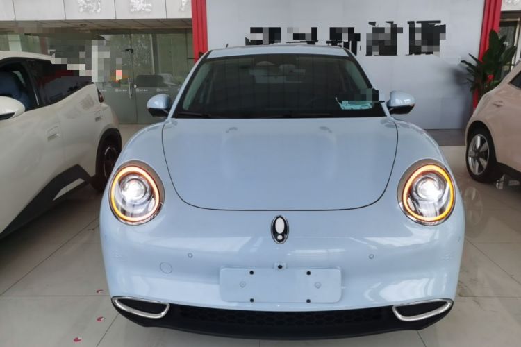 Used ORA Good Cat 2021 400km Standard Range Athena Edition Lithium-Ion Battery
