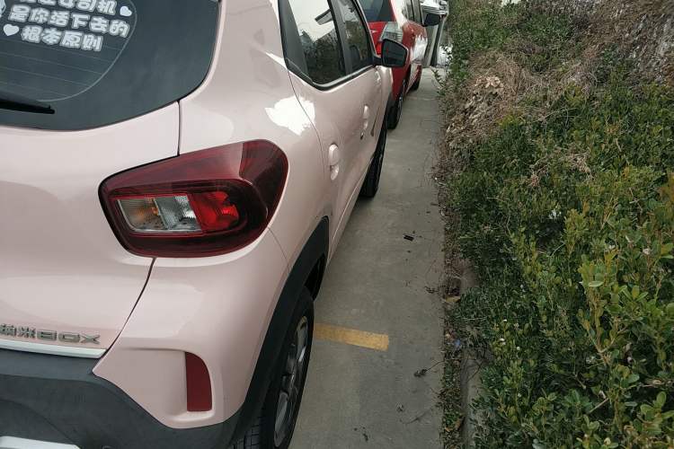 Used Dongfeng NAMMI EX1 2023 PRO Light Wind Edition Lightning Model