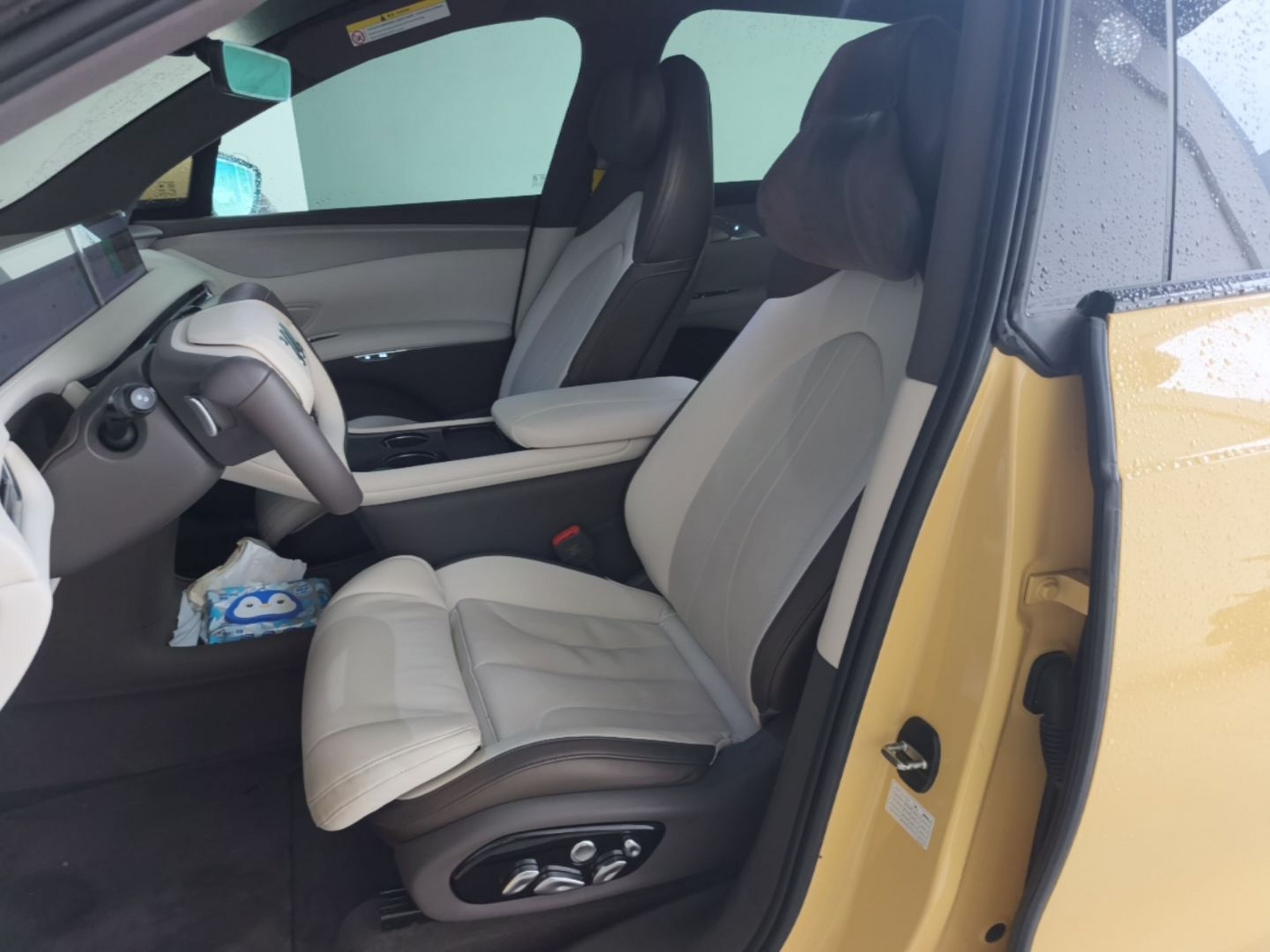 Interior delantero