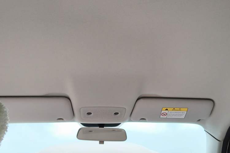 Used Leapmotor T03 2023 310 Lite Edition Headliner