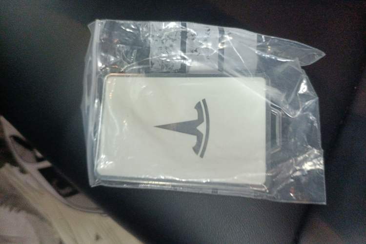 Used Tesla Model 3 2021 Standard Range Rear-Wheel Drive Upgraded Version 3D6
