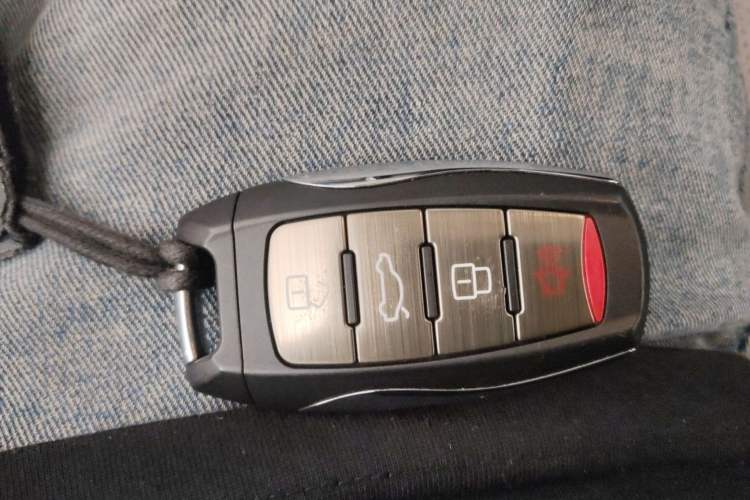 Used ORA White Cat 2020 305 km Luxury Version Vehicle Key