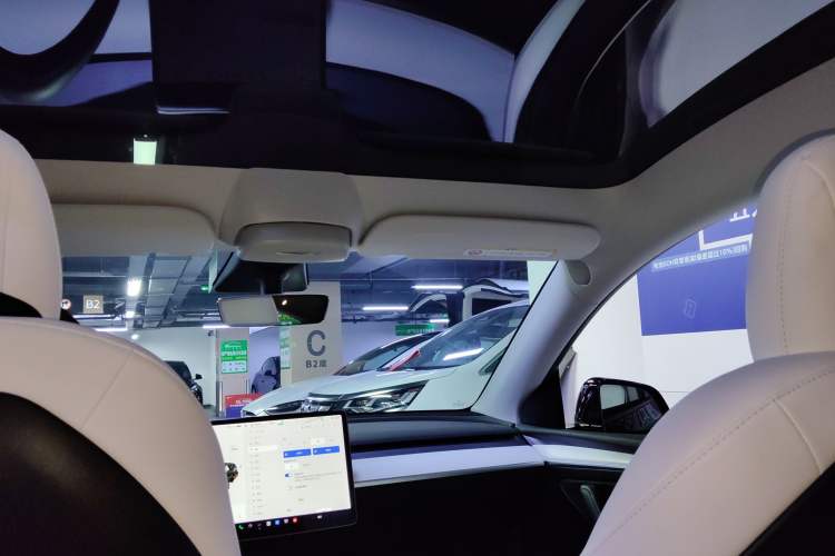 Used Tesla Model Y 2021 Standard Range Rear-Wheel Drive Version Headliner