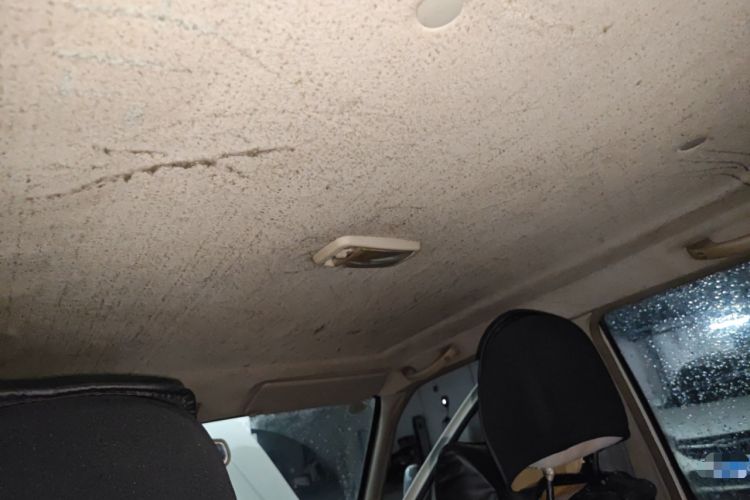 Used Zxauto Flagship A9 2009 2.4T Diesel Luxury Version