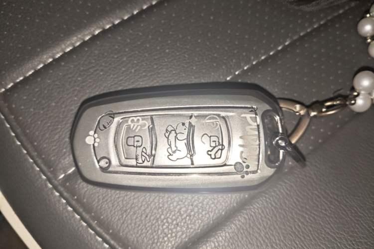 Used Geely Galaxy Panda 2023 Panda Mini 200km Endurance Bear

