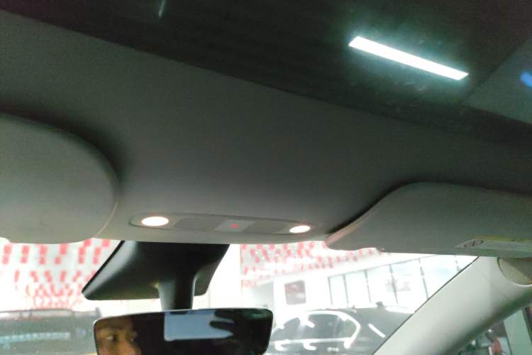 Used Tesla Model Y 2021 Long-Range All-Wheel-Drive Version Headliner