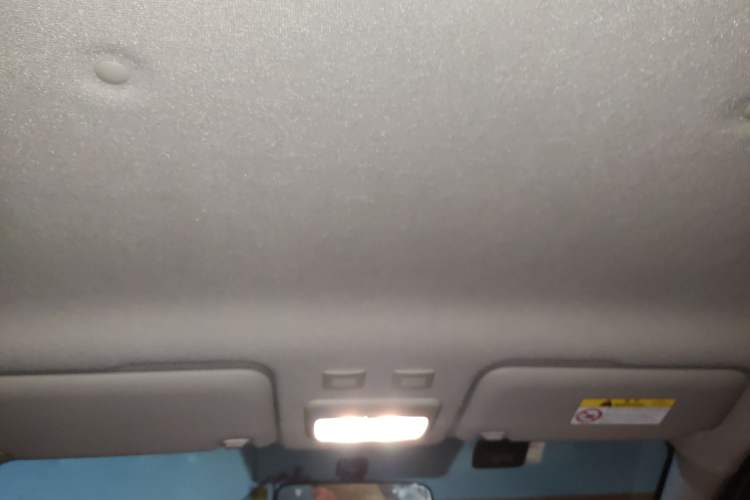 Used ORA Black Cat 2019 301km Standard Edition