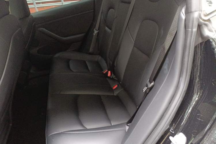 Used Tesla Model 3 2022 Rear-Wheel-Drive Version
