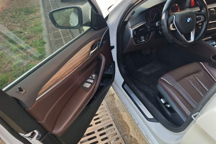 Used BMW 5 Series New Energy 2019 530Le Luxury Package
