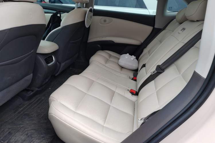 Used IM LS6 2023 Max Extended-Range Version
