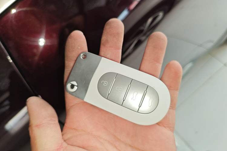 Used smart #5 2024 Ultra-Long Range Extraordinary Journey Luxury Edition