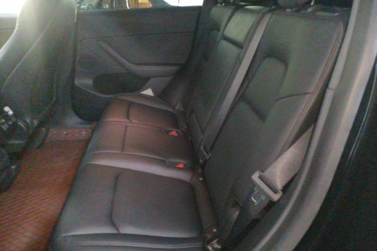 Used Tesla Model Y 2022 Rear-Wheel-Drive Version
