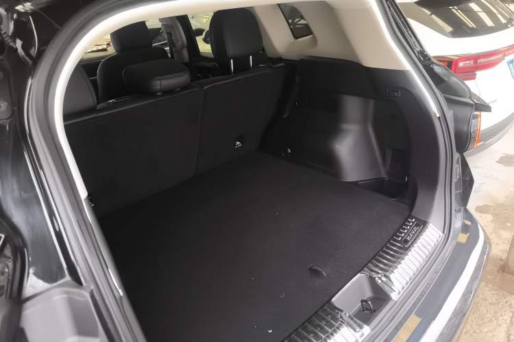 Used Haval H Dog 2023 2.0T Two-Wheel Drive Chaoye Version Plus Trunk