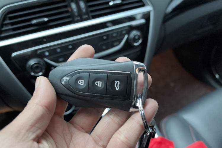 Used Leopaard CS10 2016 2.0T Automatic Urban Version
