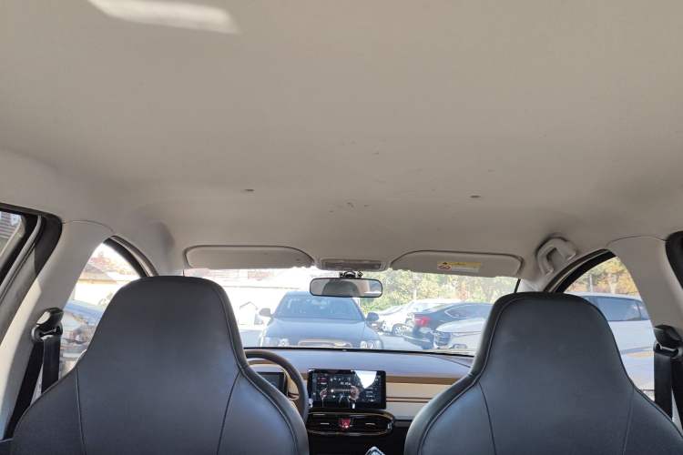 Used SOL E10X 2022 Flower Fairy Design Four-Leaf Clover