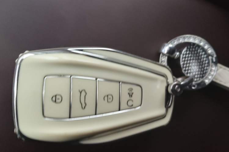 Used Geely Auto Monjaro L 2024 2.0TD DCT EVO Two-Wheel Drive Prestige Version