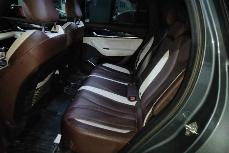 Used Geely Auto Monjaro L 2021 2.0TD DCT EVO Two-Wheel Drive Prestige Version Left Rear Seat