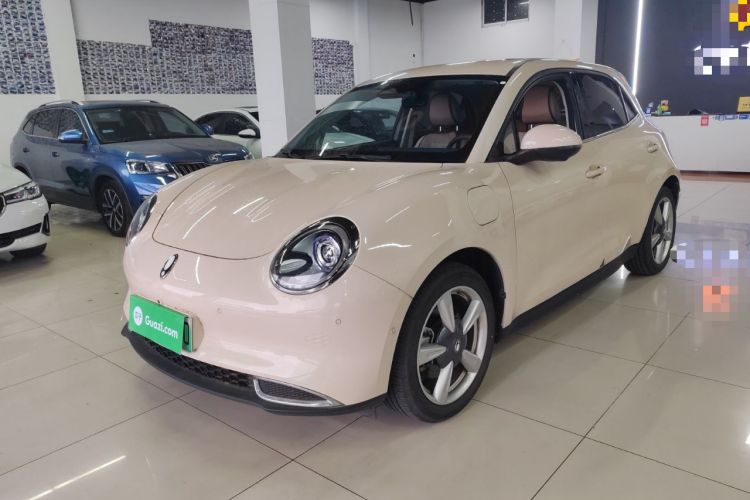 Used ORA Good Cat 2021 400km Standard Range Athena Edition Lithium-Ion Battery
